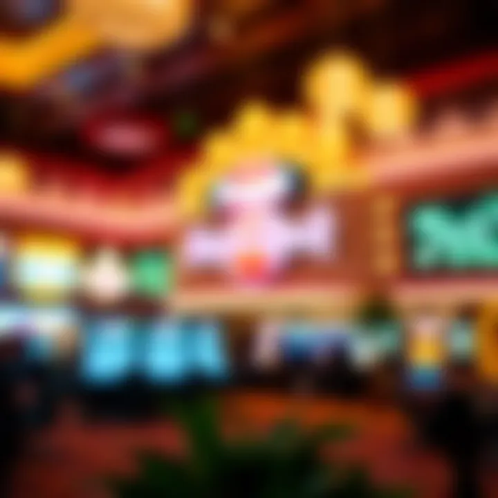 Notable Exploring Activities at Seminole Hard Rock: A Comprehensive Guide