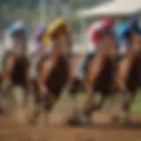 Dynamic view of a live horse race event