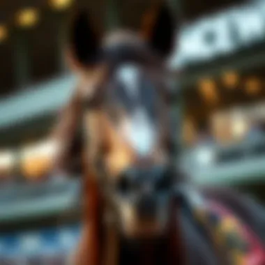 A close-up of a thoroughbred horse showcasing its strength and elegance.