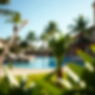 A serene pool area surrounded by palm trees at the hotel.